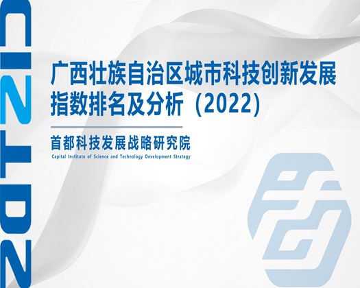 我想要操你大逼逼【成果发布】广西壮族自治区城市科技创新发展指数排名及分析（2022）